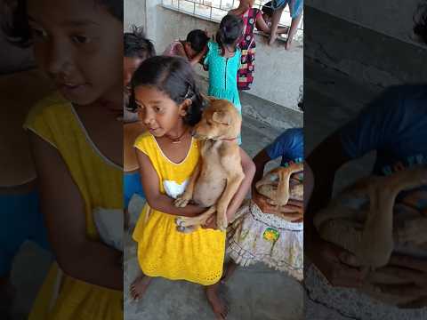 Cute Baby Dancing Entertainment Part 202 