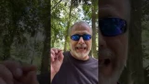 Maternal Incubation - Episode 3 - Nest Boxes and Egg Laying