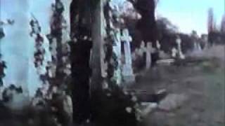 albert steptoes funeral