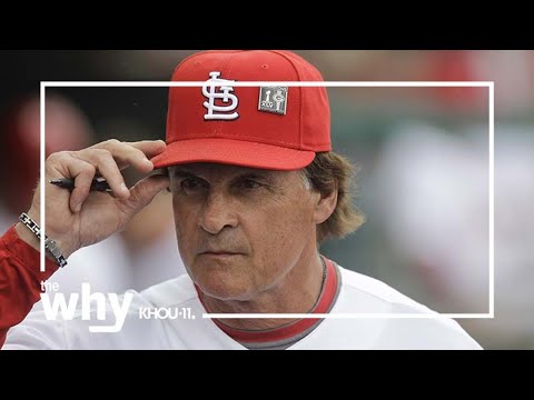 Twitter's little blue check mark started with baseball legend Tony La Russa