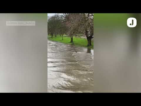 Status Yellow rain warning: Griffith Park in Dublin