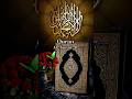 Quran translation al - imran 07 #shorts