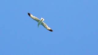 Her Saniyesi Ayrı Değerli Bir Yolculuk Boğaz Turu