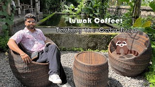 Coffee The Cat Poop Coffee Worlds Most Exclusive Brew