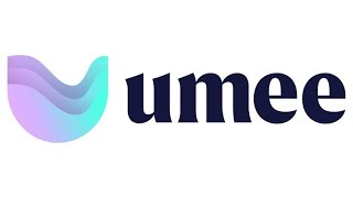 Umee Testnet airdrop II part 1