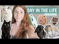 A day in the life of my 6 pet family