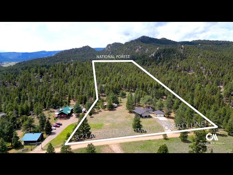 3176 Baxendale Dr, Helena, MT home video tour