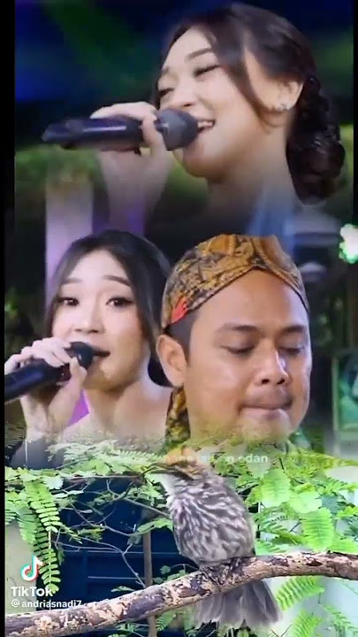 CUCAK ROWO #cucakrowo #difarindaadella #fendikadella #adella #kazumizelene #shorts #2025