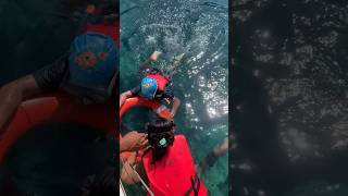 “Crystal Clear Water! 😱 Snorkeling at Coral Island, Pulau Tioman 🐠🌊”