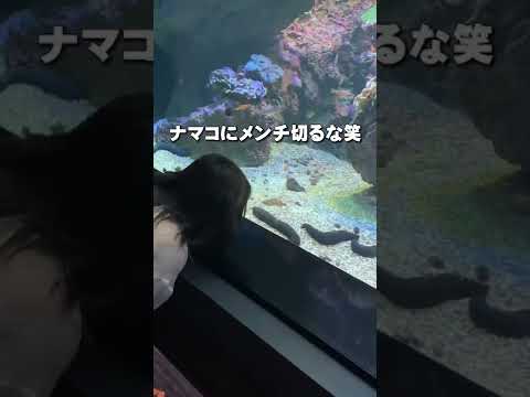 香川県・デート【日本で1番映える水族館って言われたらここをおすすめする】