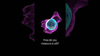 How do you measure a cell?