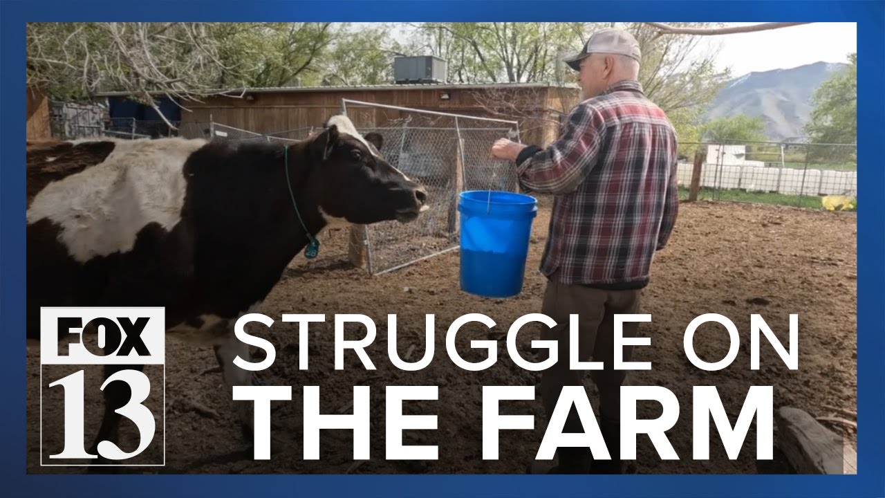 Utah dairy farm struggling to stay afloat after long, difficult winter