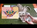 MÁSCARA DIABLADA - TUTORIAL 2