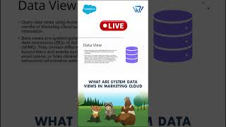 What Are System Data Views in Salesforce Marketing Cloud | Complete SFMC Data Views Tutorial