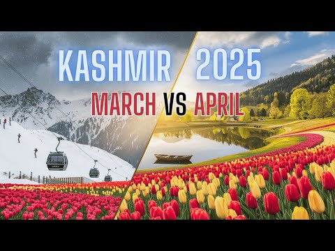 Kashmir in March April 2025 Travel Guide Snow, Tulips, & Gondola Booking Tips!