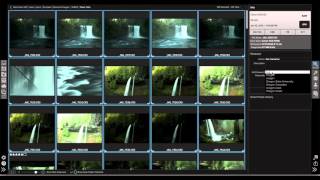 ON1 Photo 10 - Auto Add Keywords