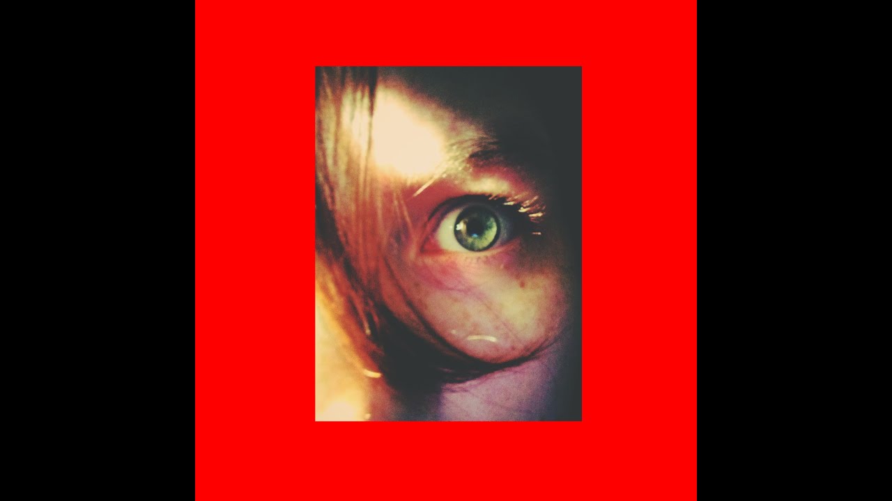 AllyStarDreamly's Retell Review//Flowers For Vases By Hayley Williams