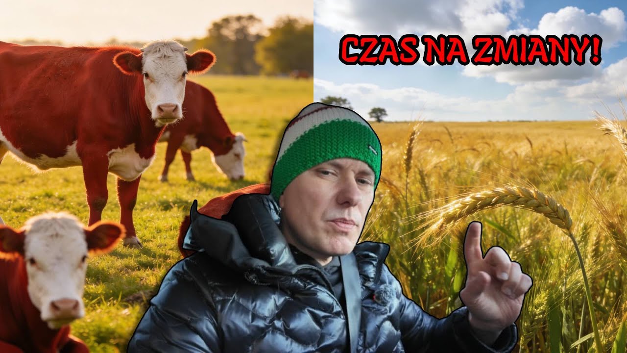 UPRAWA ROŚLIN CZY HODOWLA BYDŁA? - SPRAWDZAMY OPŁACALNOŚĆ!