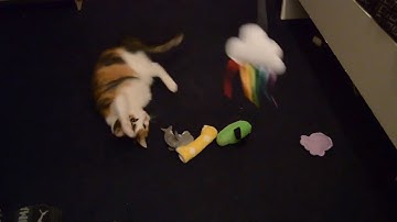 KitNip Box | Unboxing | Review