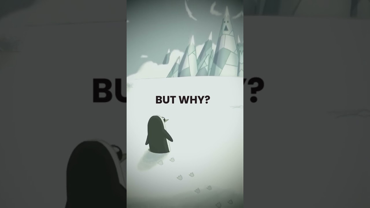 BUT WHY? PINGUIM