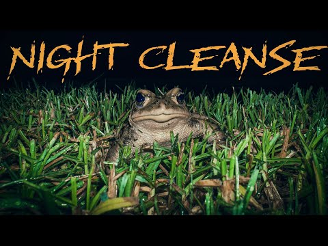 Night Cleanse (2025) | A Short Film