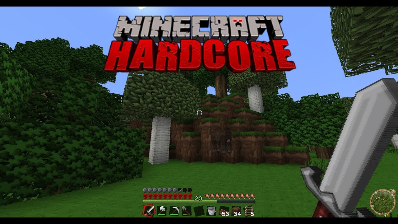 MINECRAFT HARDCORE 
