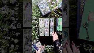 Lady Stirlings Wicked Garden Oracle
Get yours: https://www.usgamesinc.com/lady-stirling-wicked-garden-oracle
Lady Stirlings Wicked Garden Oracle created by Matt Hughes, Hope Hughes, and Norris Eppes
Visuals by Bound by Nature Studio Lady Stirlings Wicked Garden Oracle