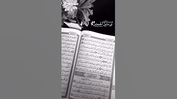 ## حالات واتس اب دينية 💮 سورة الكهف 💮نور ما بين الجمعتين 💮