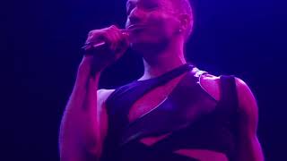 Bellini Boy - performance portrait