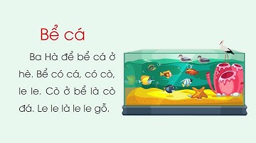 Bài 15  Ôn tập   Tiếng Việt lớp 1   Bộ Cánh Diều OLM VN