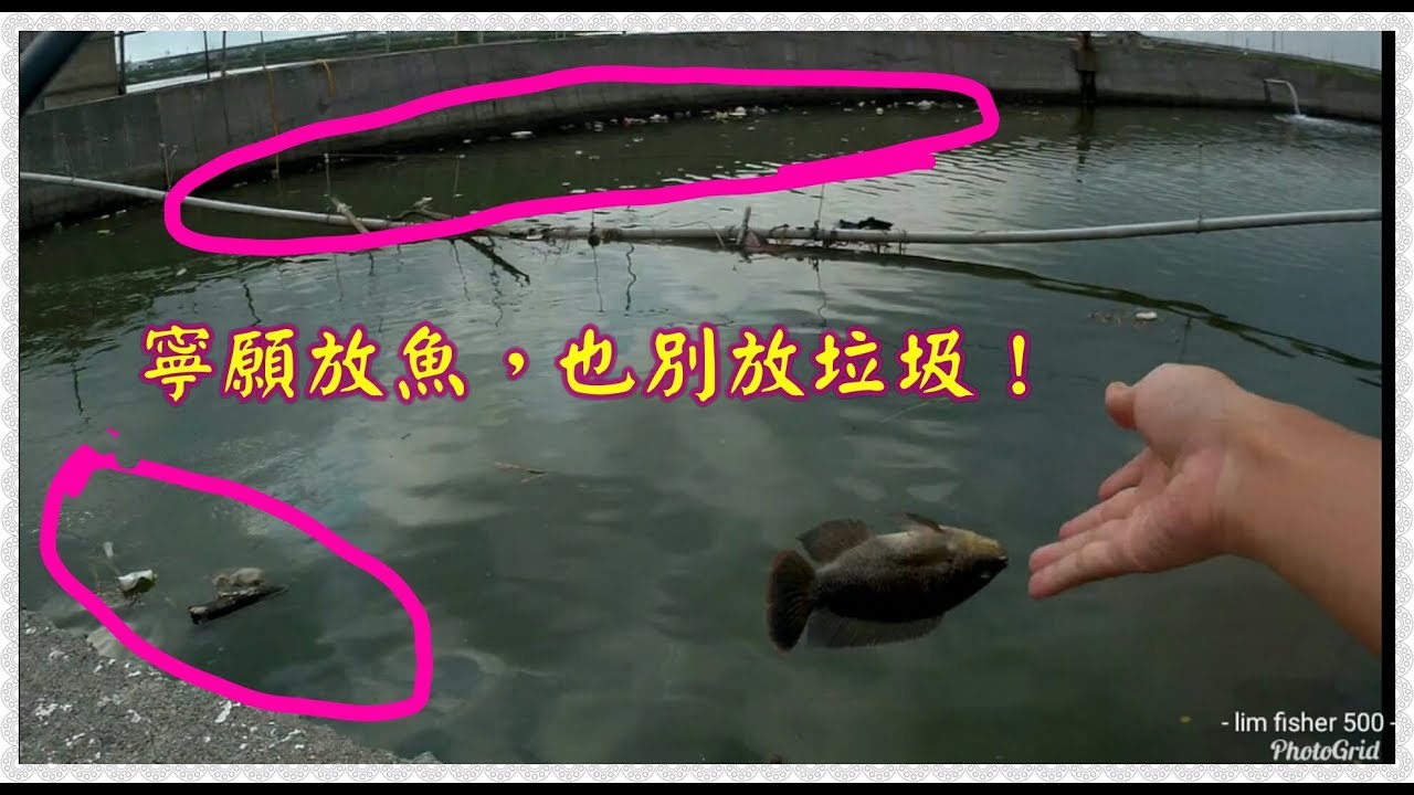 海溝釣海水吳郭魚 下 Fishing Youtube