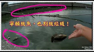 海溝釣海水吳郭魚(下)(fishing)