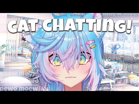 Cat Chats to Twitch Chat!