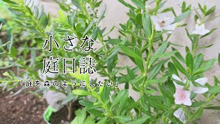 【ガーデニング夏の日課】雑木ガーデン作りのオススメ本の紹介