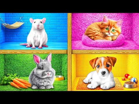 Xây Căn Căn nhà cho Thú Cưng | Tình Huống Hài Hước và Thất bại Crazy DO