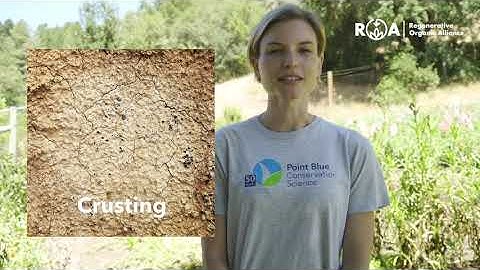 How to Assess Soil Crusting