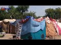 Tchad : la faim, la soif et le froid pour les sinistrés d'inondations
