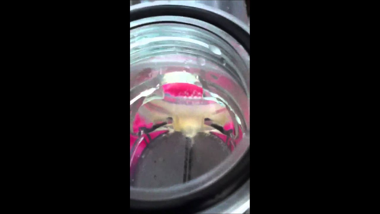 Saltwater chlorinator cleanup - YouTube