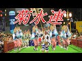 【4K】実にトップレベルの綺麗な踊り！中でもこぎくの踊りが秀逸「菊水連」＠阿波おどり2023南内町演舞場