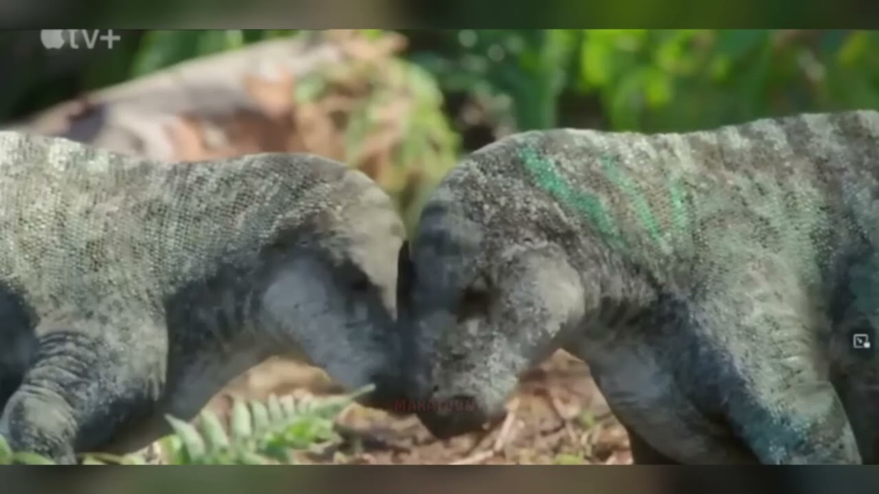 ZALMOXES – O PEQUENO DINOSSAURO INTELIGENTE DA TRANSILVÂNIA!