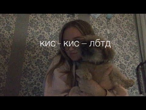 Кис кис кис кис лен