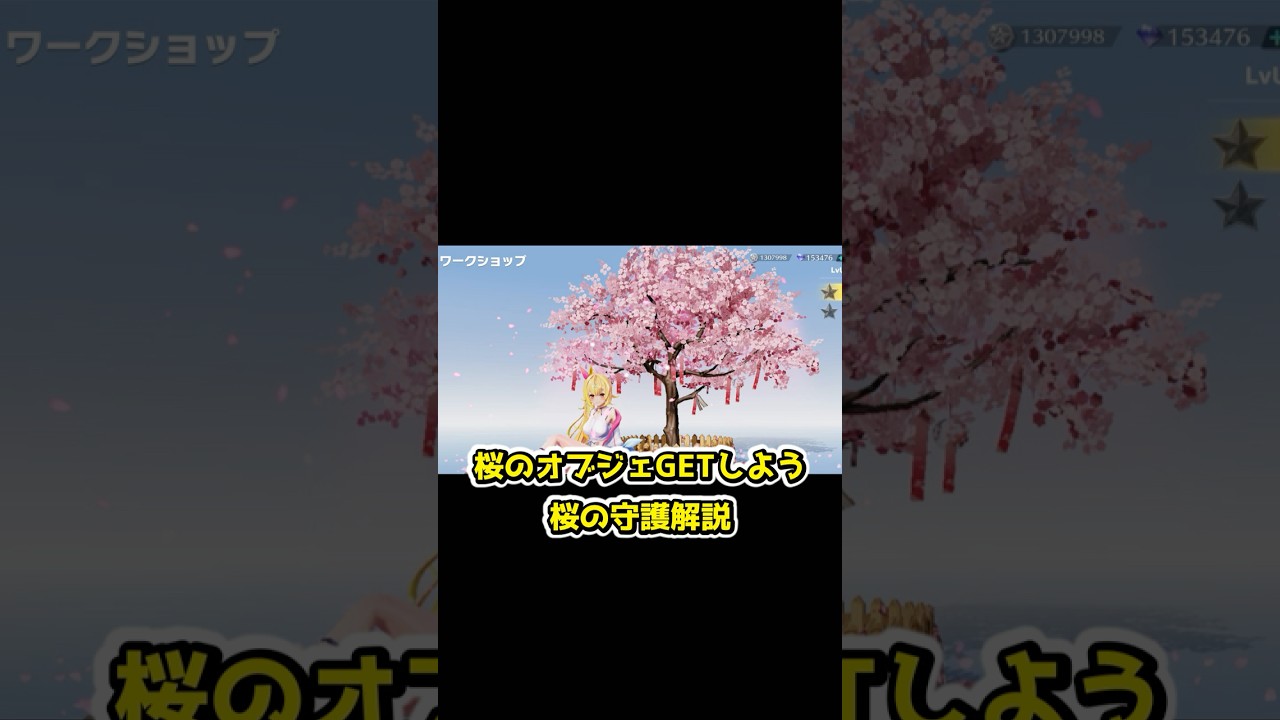 Get the cherry blossom ornament!! Explanation of the cherry