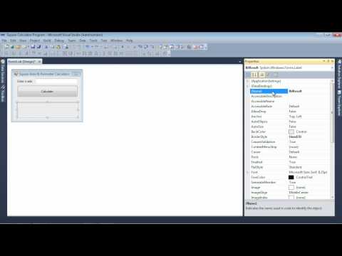 CS111 - Square Calculator Project
