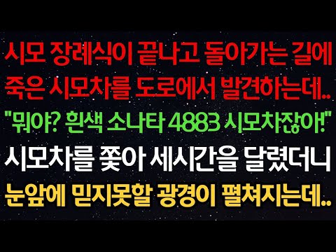 실화사연-시모 장례식이 끝나고 돌아가는 길에 죽은 시모차를 도로에서 발견하는데 "뭐야? 흰색 소나타 4883 시모차잖아!" 차를 쫓아 세시간을 달렸더니 믿지못할 광경이 펼쳐지는데