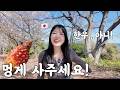 일본인이 싫어하는 음식 랭킹 3위라는 멍게를 일본인 아내에게 사줬더니... [한일부부]