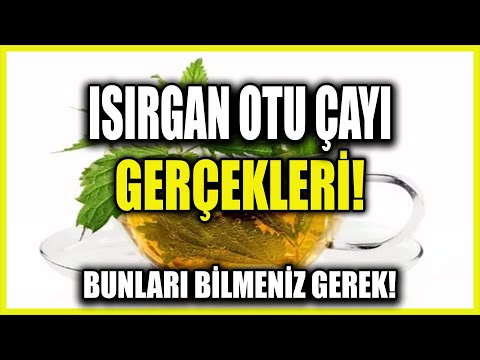 Isırgan Otu Çayı Hakkında Mutlaka Bilmeniz Gereken Şeyler!