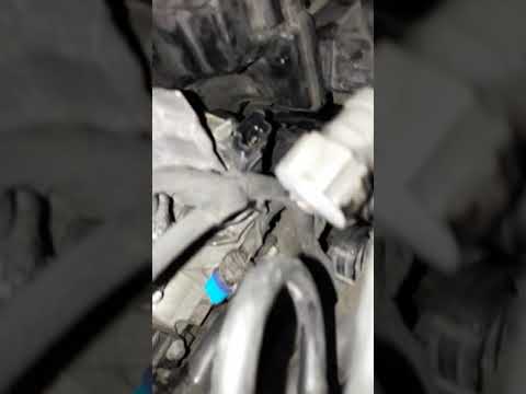 Citroen C4 Hdi 1.6 2004-2010 Egr Valve Location - Youtube