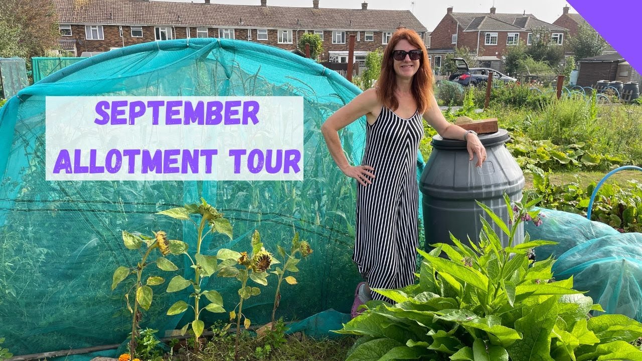 September Allotment Tour - Allotment Gardening For Beginners UK - YouTube