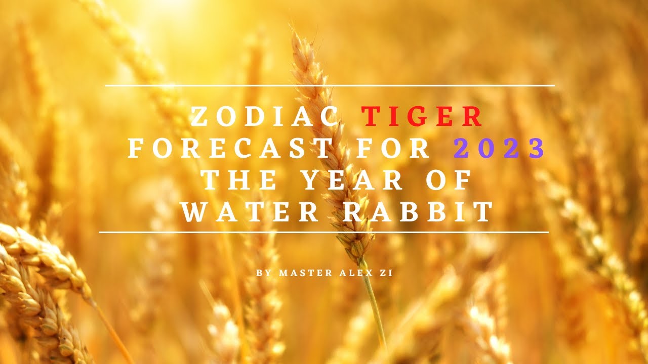 Zodiac “TIGER” Forecast for 2023 the Year of Water Rabbit