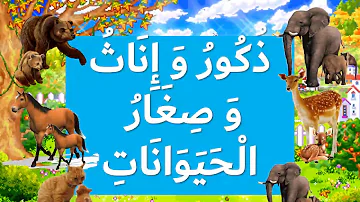 اسماء صغار الحيوانات Mp3